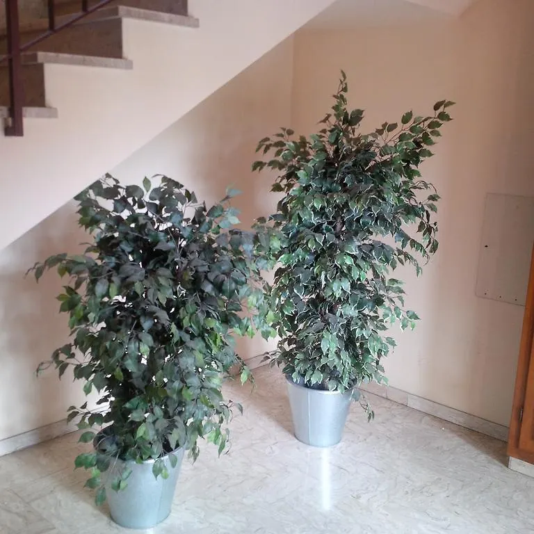Casa Venturi Διαμέρισμα Σκαντίτσι